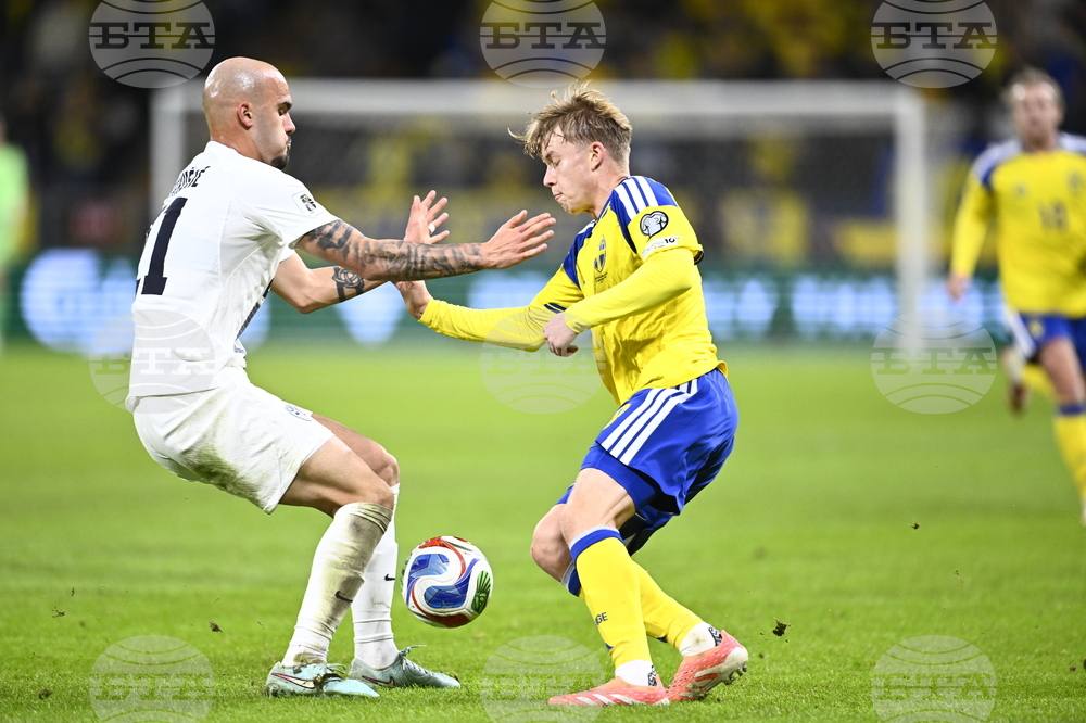 Sweden Slovenia WCup Soccer