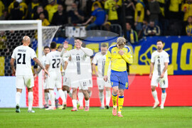 Sweden Slovenia WCup Soccer