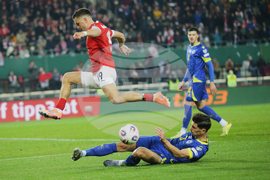 Austria Bosnia And Herzegovina Wcup Soccer