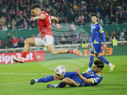 Austria Bosnia And Herzegovina Wcup Soccer