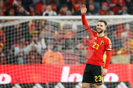 Belgium Liechtenstein WCup Soccer