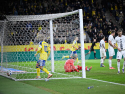 Sweden Slovenia WCup Soccer