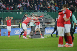 Austria Bosnia And Herzegovina Wcup Soccer