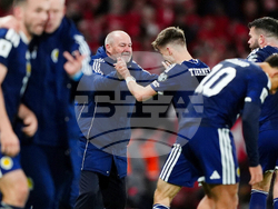 Scotland Denmark WCup Soccer