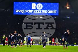 Scotland Denmark WCup Soccer