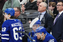 Blues Maple Leafs Hockey