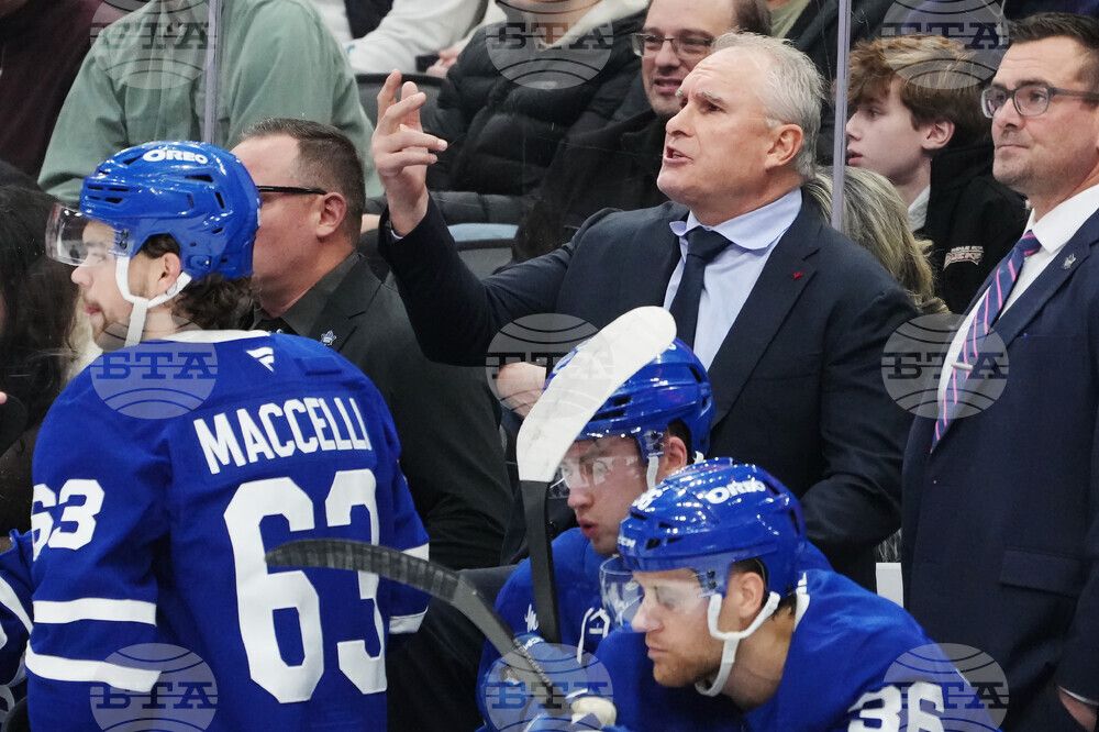 Blues Maple Leafs Hockey