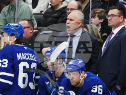 Blues Maple Leafs Hockey