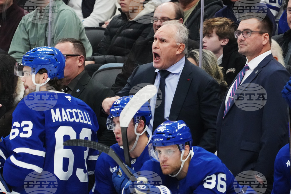 Blues Maple Leafs Hockey