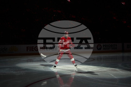Kraken Red Wings Hockey