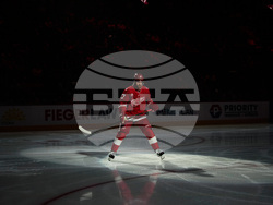 Kraken Red Wings Hockey