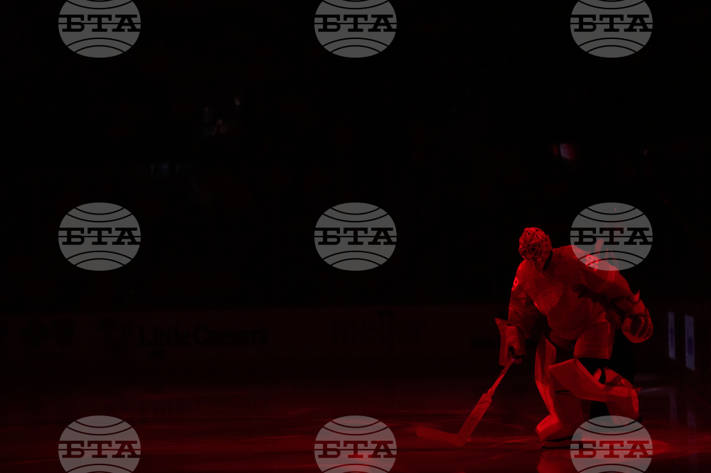 Kraken Red Wings Hockey