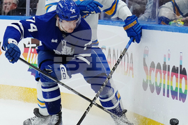 Blues Maple Leafs Hockey