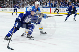 Blues Maple Leafs Hockey