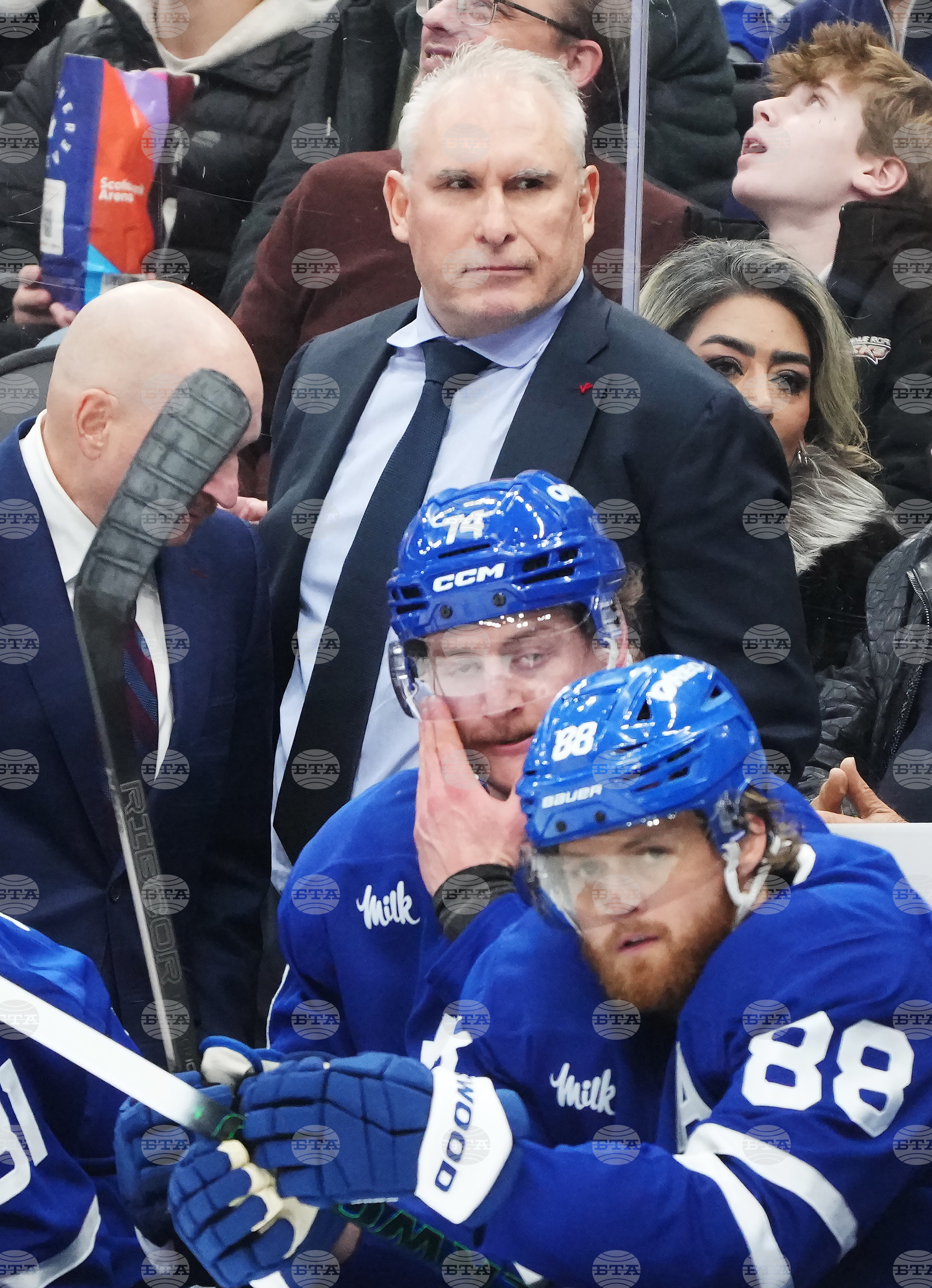 Blues Maple Leafs Hockey