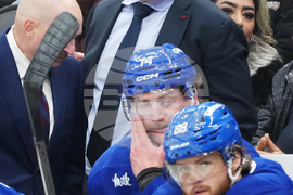 Blues Maple Leafs Hockey