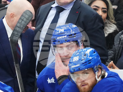 Blues Maple Leafs Hockey