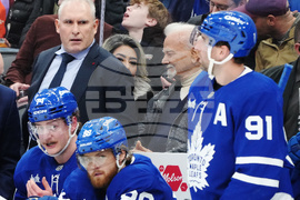 Blues Maple Leafs Hockey