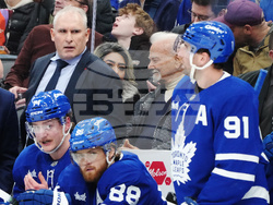 Blues Maple Leafs Hockey