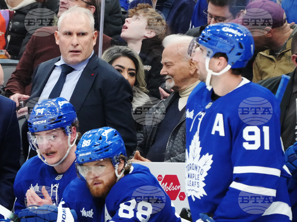 Blues Maple Leafs Hockey