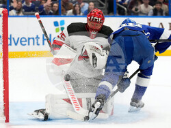 Devils Lightning Hockey