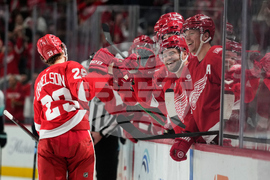 Kraken Red Wings Hockey