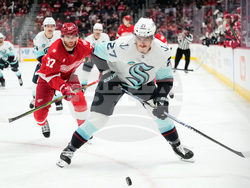 Kraken Red Wings Hockey