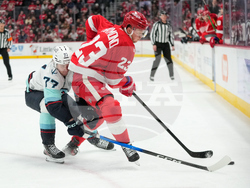 Kraken Red Wings Hockey