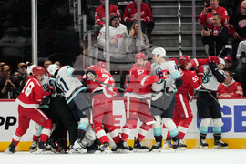 Kraken Red Wings Hockey