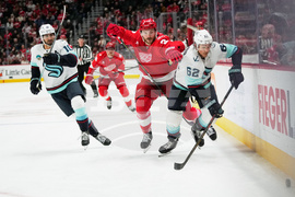 Kraken Red Wings Hockey