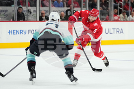 Kraken Red Wings Hockey