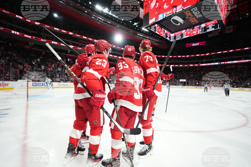 Kraken Red Wings Hockey