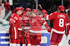 Kraken Red Wings Hockey