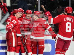 Kraken Red Wings Hockey