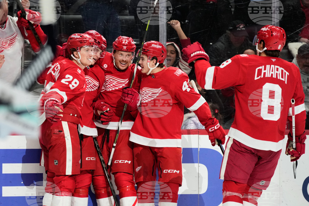 Kraken Red Wings Hockey
