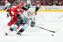 Kraken Red Wings Hockey