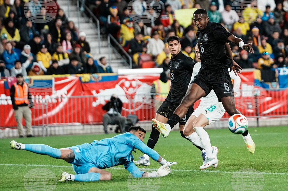 Ecuador New Zealand Soccer