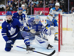 Blues Maple Leafs Hockey