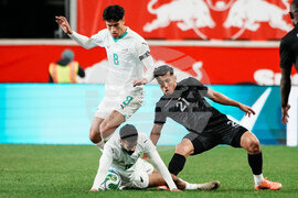 Ecuador New Zealand Soccer