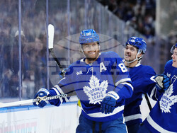 Blues Maple Leafs Hockey