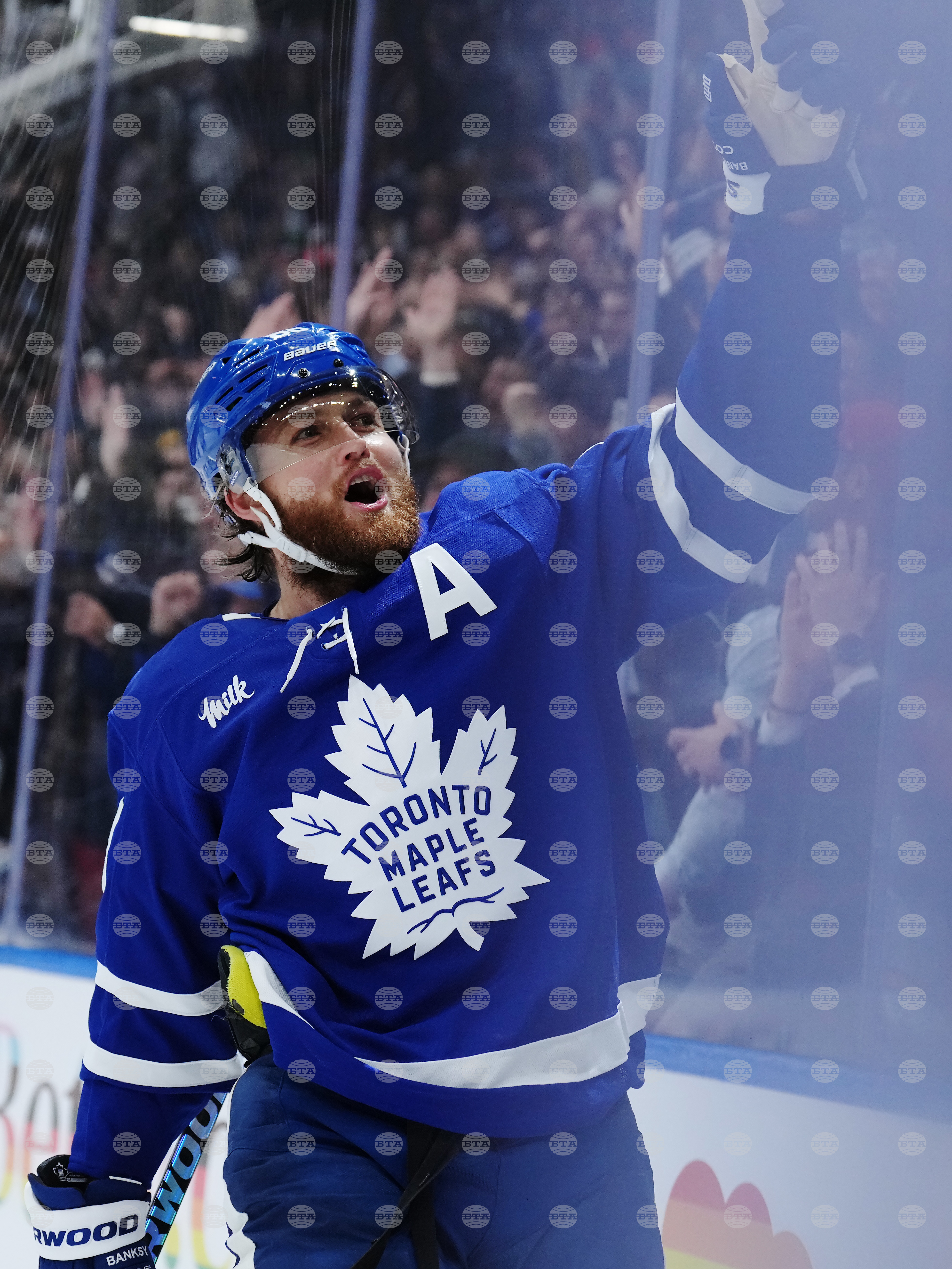 Blues Maple Leafs Hockey