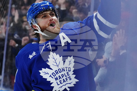 Blues Maple Leafs Hockey