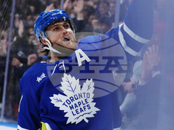 Blues Maple Leafs Hockey