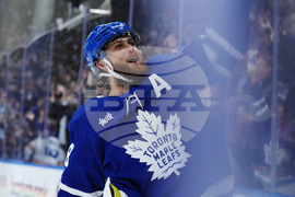 Blues Maple Leafs Hockey