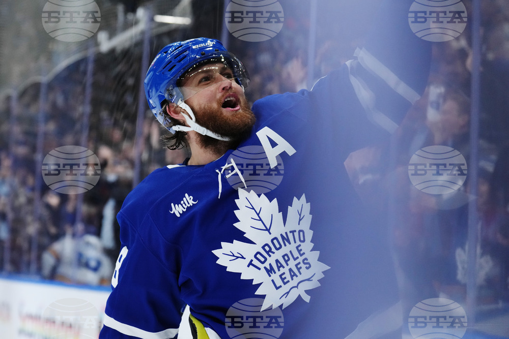 Blues Maple Leafs Hockey