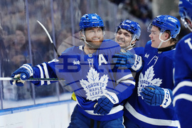 Blues Maple Leafs Hockey