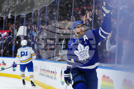 Blues Maple Leafs Hockey