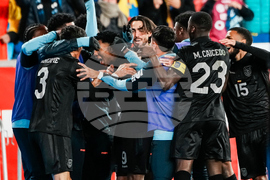 Ecuador New Zealand Soccer