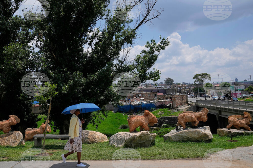 South Africa G20 Climate