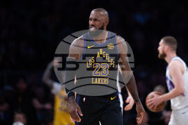 Jazz Lakers Basketball